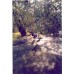 Ελαιόδιχτο 90gr 6x10 μέτρα 028567
