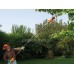 Ηλεκτρικό Τηλεσκοπικό Αλυσοπρίονο Black&Decker 800W 25cm PS7525